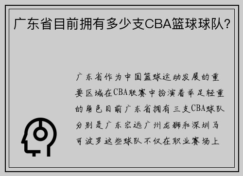 广东省目前拥有多少支CBA篮球球队？